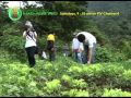 DA   BAR CELPA Organic Farming I