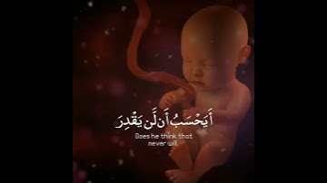 تلاوة هادئة تريح الأعصاب 😴🎧 | القاريء ماهر المعيقلي - سورة البلد 🤍🌥️."