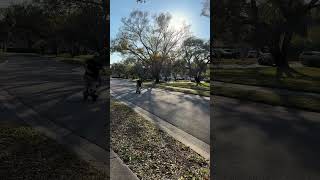 Highly Tuned Honda Compacto