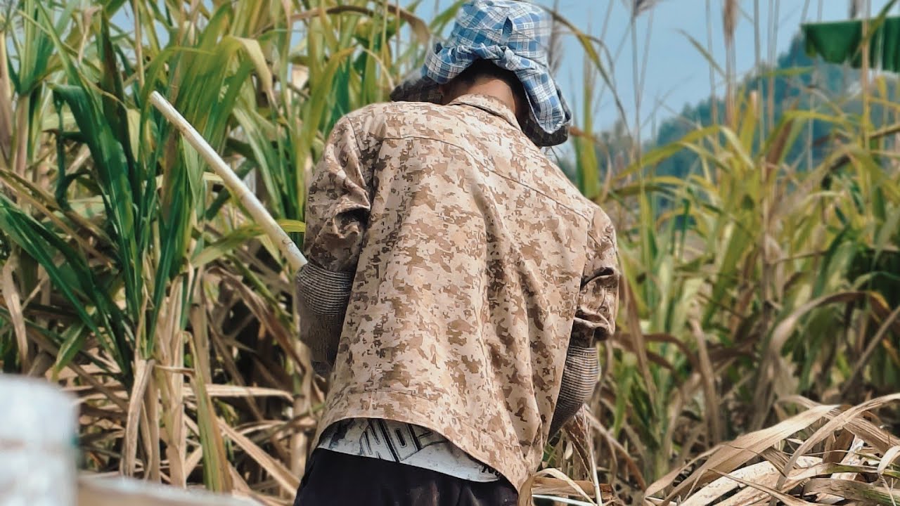 ကြံခုတ်မယ်