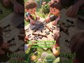 The Tiny Explorer — Adventures in a Mini World