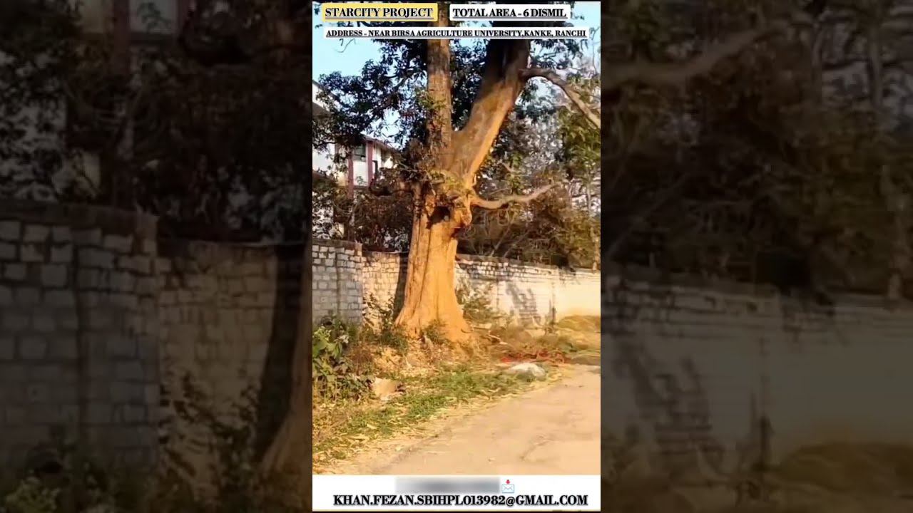 STARCITY PROJECT || NEAR BIRSA AGRICULTURE UNIVERSITY, KANKE,RANCHI || TOTAL AREA - 6 DISMIL 