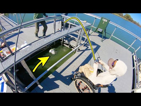 Catching Monsters From A Hole In The Dock! (dream Fishing Day)