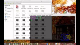 pdfimages -- Un soft care extrage imaginile din fișierele PDF screenshot 4