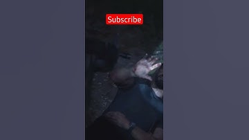 Fireflies Killed Joe’s Daughter