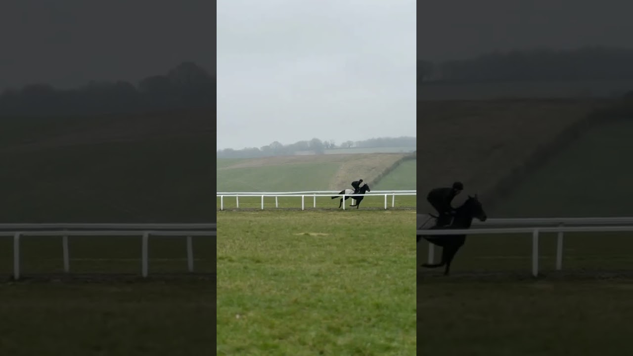 Behind-the-scenes at a top tier racing yard 🐎 Park House Stables - Kingsclere 🏡