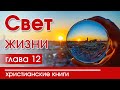 🔴ИНТЕРЕСНЫЙ ХРИСТИАНСКИЙ РАССКАЗ "Свет жизни"12 часть  Патриция С.Джон Детские христианские рассказы