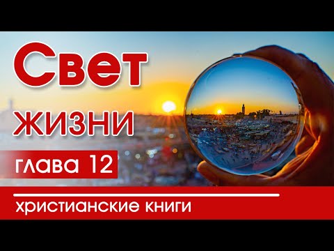 🔴ИНТЕРЕСНЫЙ ХРИСТИАНСКИЙ РАССКАЗ "Свет жизни"12 часть Патриция С.Джон Детские христианские рассказы