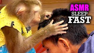 Scalp Massage ASMR by Real Monkey Judy (World's Best Hair Groomer, No Talking)