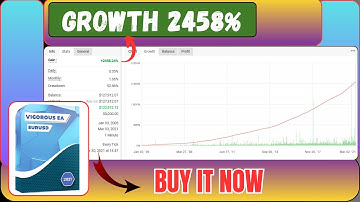 Vigorous EA – High-Frequency EURUSD Scalping Robot for MT4