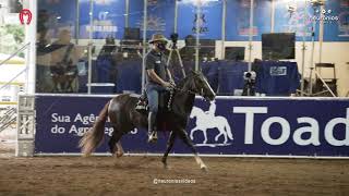 Dinastia Ina Res Cdane Das Cdanes De Marcha  Casimiro De Abreu Rj 2021