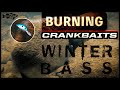 Winter Crankbait Tips: Downsize and Burn for More Bites 