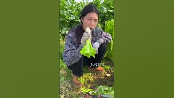 Cách￼ Trung Quốc thu hoạch cải khá lạ bỏ hết rau lá chỉ ăn bên trong than cay