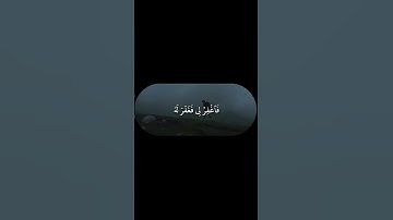 القران كريم#ياسر_الدوسري #اكتب_شي_تؤجر_عليه #راحة_نفسية