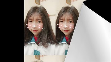 8E -- THCS Nguyễn Văn Cừ