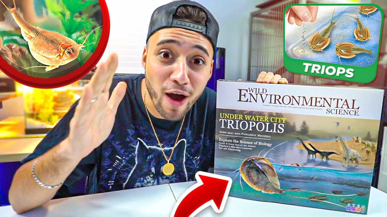 CRIANDO TRIOPS! Os Animais da época dos Dinossauros