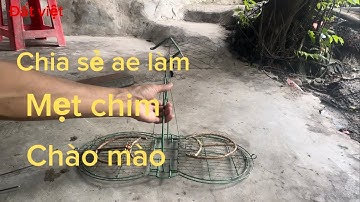 Hướng dãn làm lụp chim- làm mẹt chim chào mào ( phần 1 )