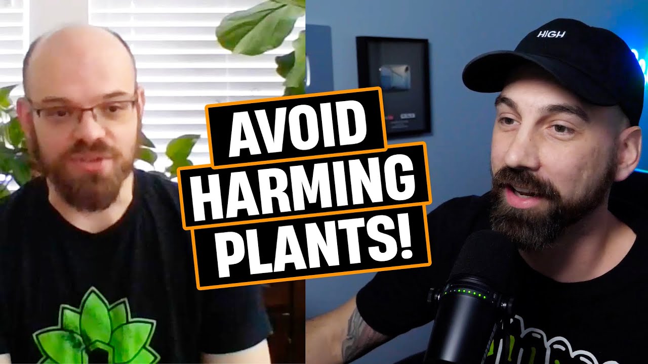 When To Safely Spray Foliar Sprays…