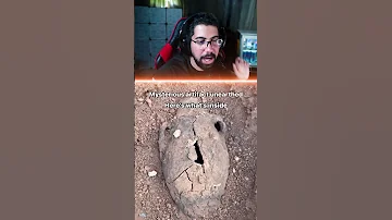 صوت صفير البلبل ممكن يطلع بالفيديو 