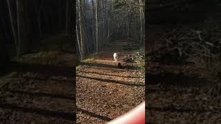 Teena And Lola 122020