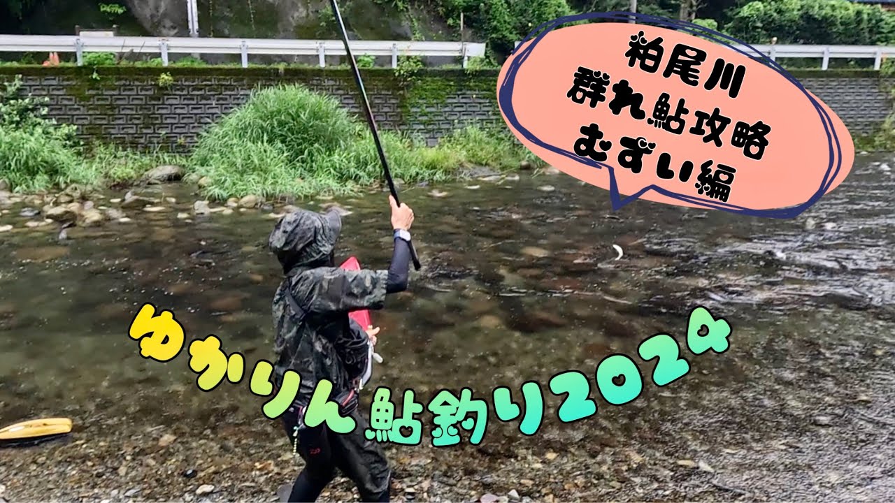 2024.7.12栃木県鹿沼市粕尾川群れ鮎攻略難しい。地元の激芯会メンバーにお話伺う編