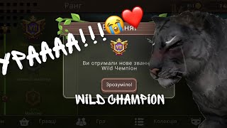 Я - WILD ЧЕМПИОН!💗// Новый ранг WildCraft !🐾