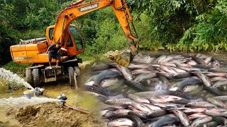 Fishing Technology: Use Large Excavator \u0026 Cannon Pump Sucks Water, Catch Many Fish In Lake