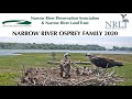 2020 Osprey Family ~ Narrow River Preservation Association & Narrow River Land Trust