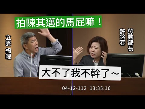 20230412 勞動部 許銘春 楊曜 賴香伶 王婉諭 王鴻薇 吳欣盈 林為洲 洪申翰 陳椒華 游毓蘭 楊瓊瓔 溫玉霞 賴惠員 蘇巧慧 王美惠 社福衛環委員會 【立法院演哪齣？】