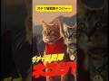 ガチで猫戦隊ネコジャー in 太古 #猫の日 #嘘特撮マン #1970s