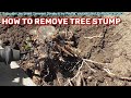 How To Remove TREE STUMP DIABLO Pruning Blade REVIEW