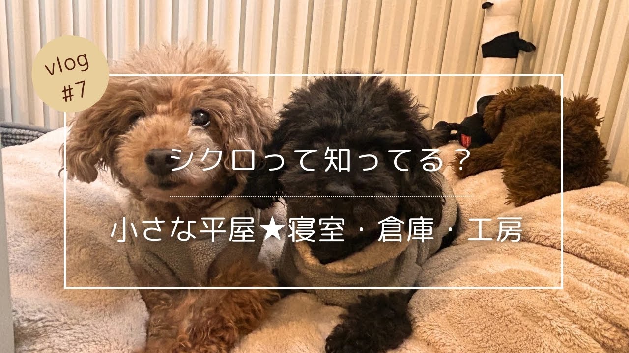 #7 シクロって知ってる？・小さな平屋／寝室・倉庫・工房