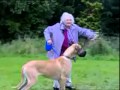 Grandma gets pulled by dog funny