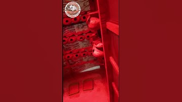 Java birds Winter Season Care Night Video Footage.