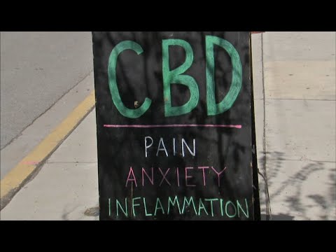 CBD caused drug test failure, woman says