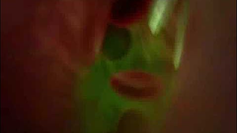 CSI: Crime Scene Investigation Intro Season 9