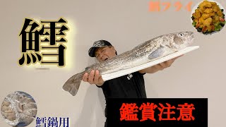 【衝撃映像】タラの内臓ヤバすぎた！フライにして、鱈フライピラミッドを建てる！！