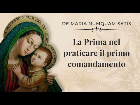 La Prima nel praticare il primo comandamento audiolibro il piccolo principe