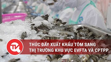 Thúc đẩy xuất khẩu tôm sang thị trường khu vực EVFTA và CPTPP | Truyền hình Quốc hội Việt Nam