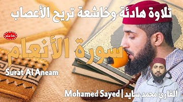 سورة الأنعام - القارئ محمد السايد|Sayed|Al Aneam تلاوة هادئة تريح الأعصاب|للمساعدة على نوم عميق😌🎧