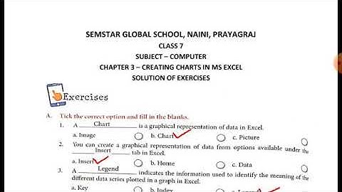 Class 7 - Computer - Chapter 3. Creating Charts in MS Excel - Full Exercise Solution.