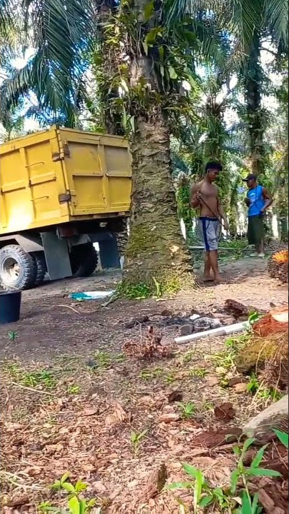 Semangat Kerja Buat Kamu Di Rumah #pekerja #sawit #bersyukur