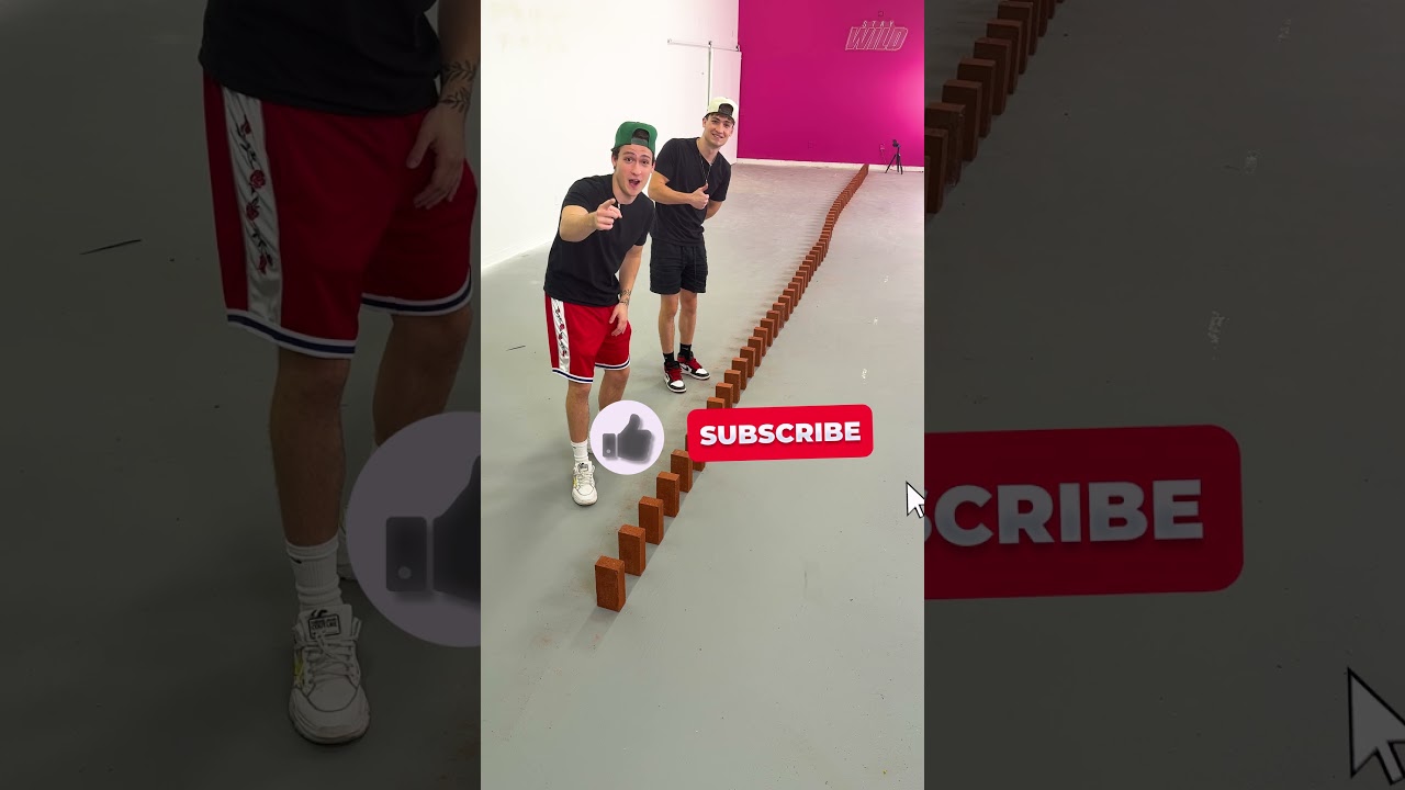 Bricks Domino Effect!  #vladandchris @zackdfilms