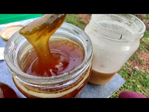 Βίντεο: Γιατί το μέλι κρυσταλλώνει;