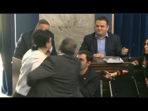 ბესელიამ პარლამენტში ზარდიაშვილი სცემა