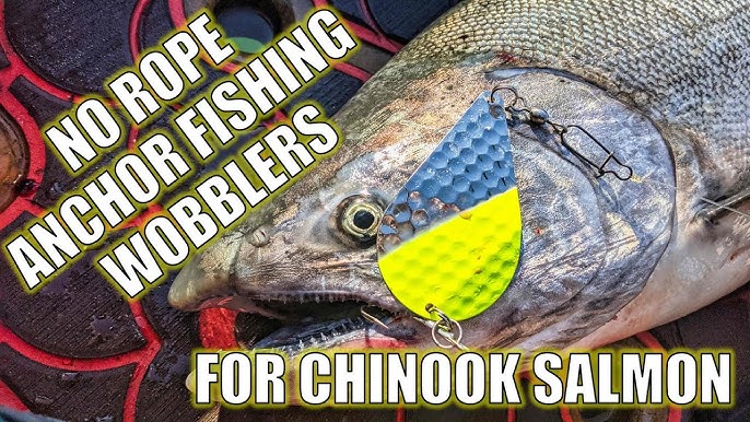 Best Trolling Lures and Baits for Spring Chinook Salmon 