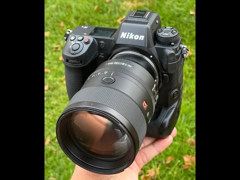 Sony 600GM with 1.4/2x TC on Nikon Z9 via Megadap ETZ21.