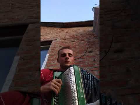 Гра на Гармошкі