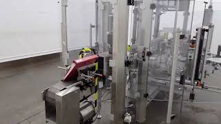E313195 - Quadrel Proline ZDT High Speed Non-Stop Zero Downtime Dual Station Labeling System Up To 4
