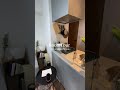 【ルームツアー】ワンルーム一人暮らし女子 | スタイリッシュで北欧風なお部屋